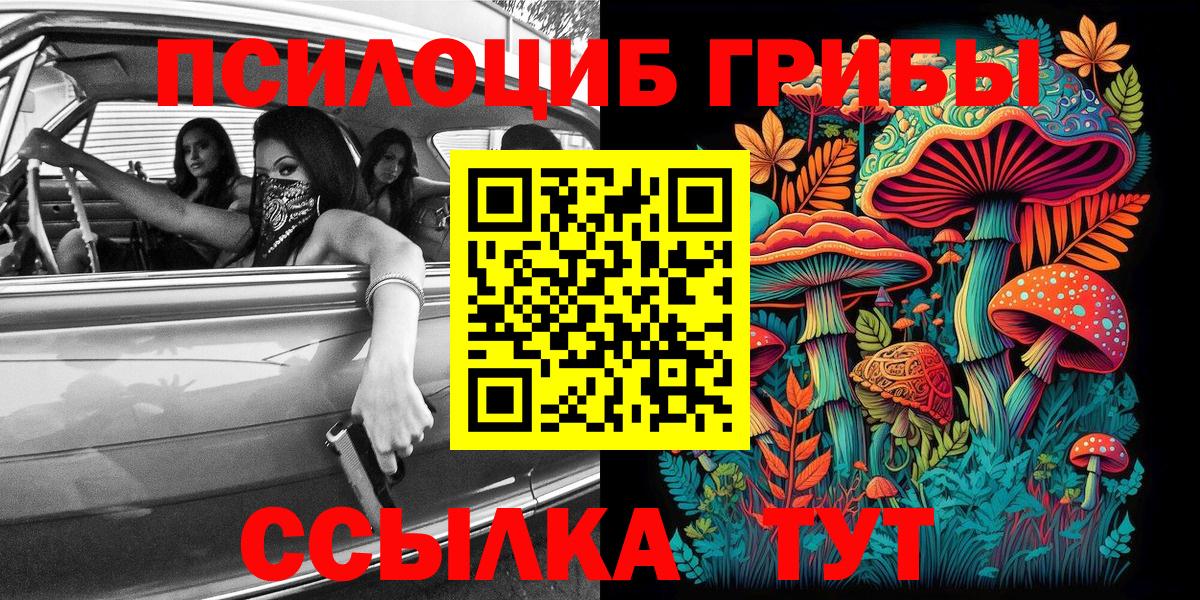 Псилоцибиновые грибы Cubensis Ульяновск