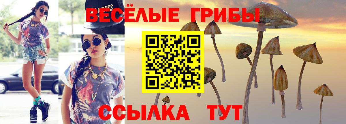 Псилоцибиновые грибы мицелий  Ульяновск  Галлюциногенные грибы мицелий 